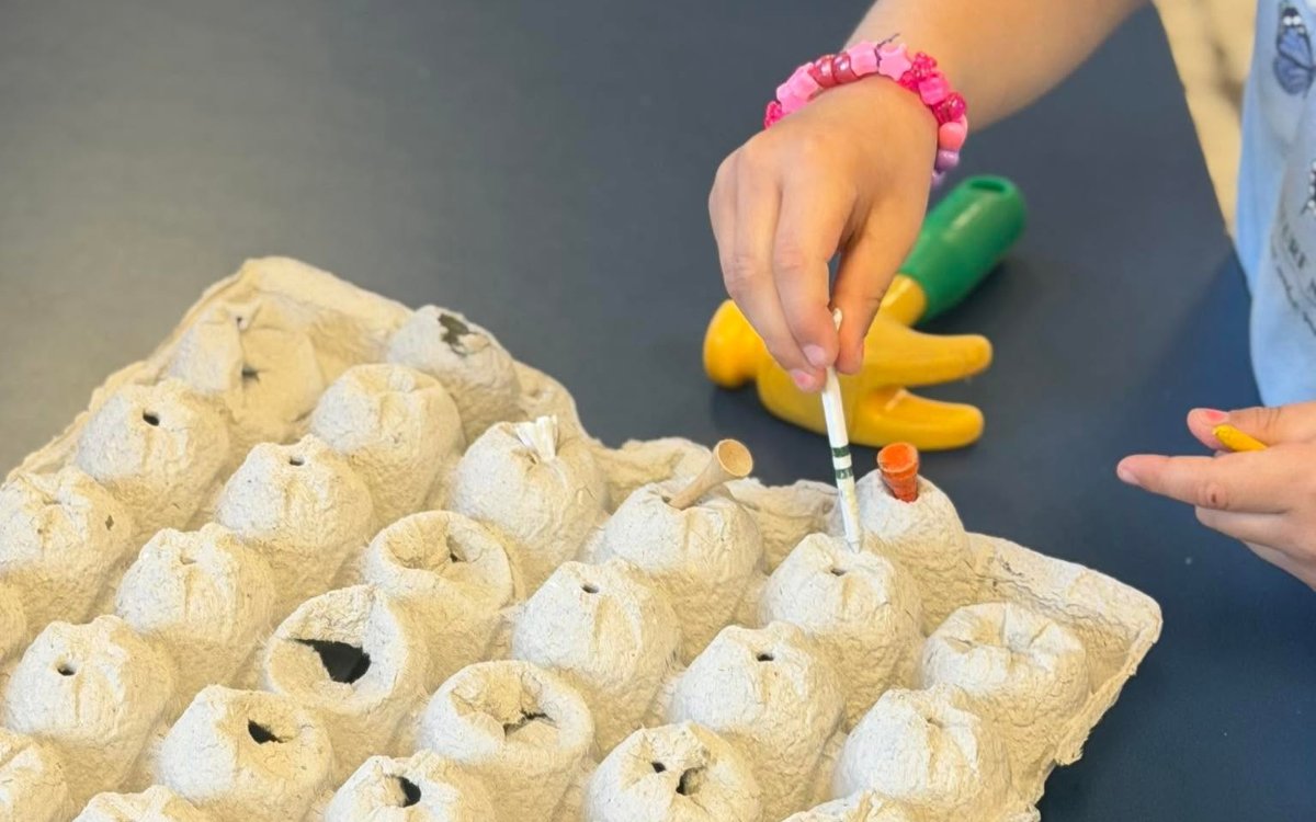 Fine motor egg carton activity at Sunny Pointe
